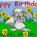 „Happy Birthday“ 60x40cm bunt per eMail