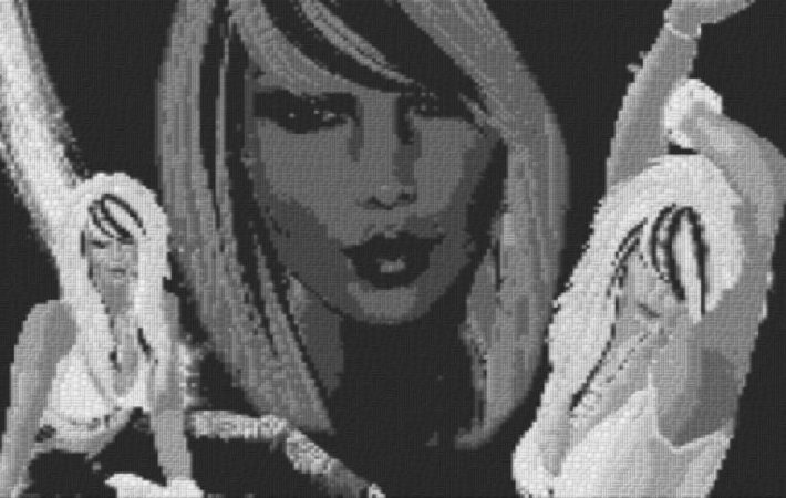 Diva1 80x60cm schwarz/weiß als Entwurfdruck