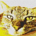 Bored Kitten 80x60cm yellow Style als Entwurfdruck