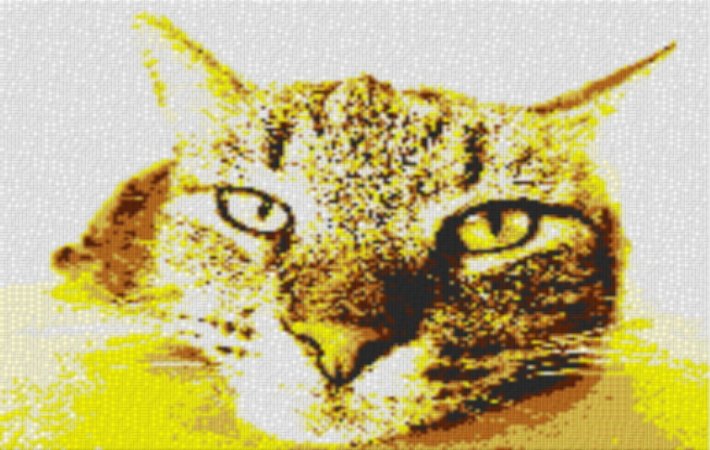 Bored Kitten 80x60cm yellow Style als Volldruck