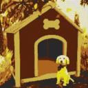 Hund mit Hütte 80x80cm yellow Style per eMail