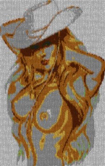 Cowgirl 60x80cm bunt per eMail
