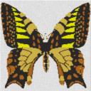 Butterfly 60x60cm yellow Style per eMail