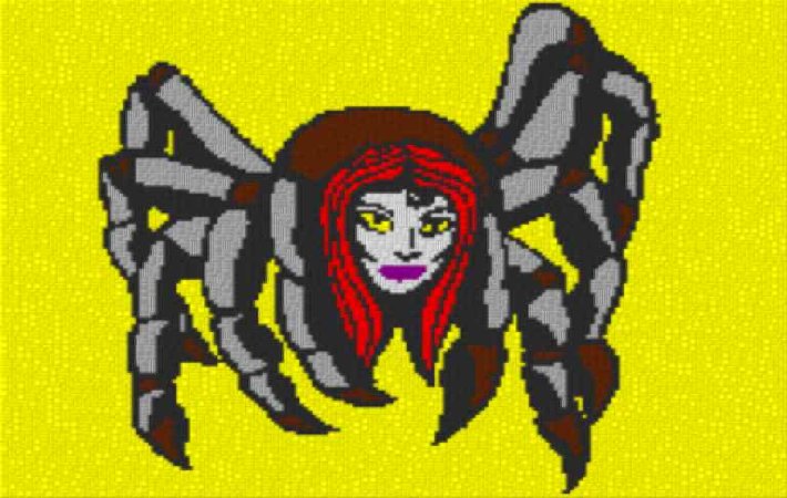Spinne 80x60cm per eMail