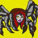 Spinne 80x60cm per eMail