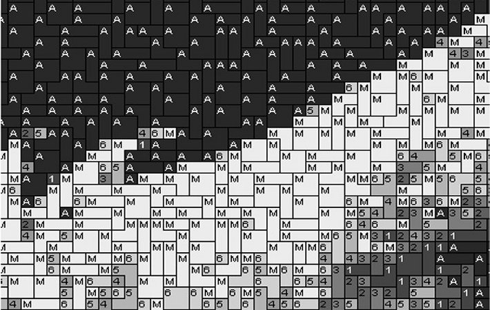 Adlerkopf1 80x60cm schwarz/weiß per eMail