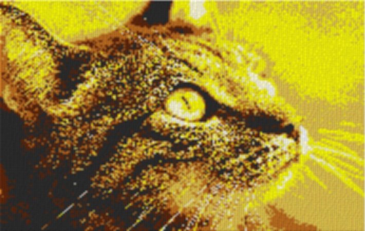 Cat1 80x60cm yellow Style per eMail