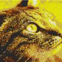 Cat1 80x60cm yellow Style per eMail