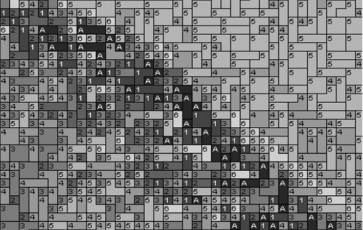 Cat1 80x60cm schwarz/weiß per eMail