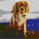 King Charles Spaniel 80x80cm cartoon Style per eMail
