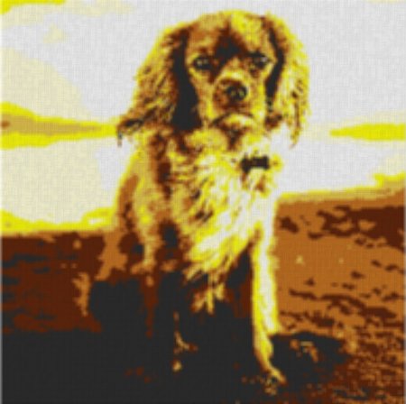 King Charles Spaniel 80x80cm yellow Style per eMail
