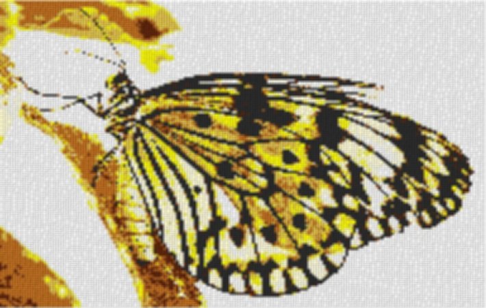 Butterfly1 80x60cm yellow Style per eMail