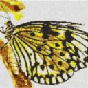 Butterfly1 80x60cm yellow Style per eMail