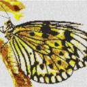 Butterfly1 80x60cm yellow Style als Entwurfdruck