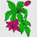 Blume3 40x40cm bunt als Volldruck