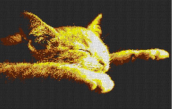 Cat2 80x60cm yellow Style per eMail