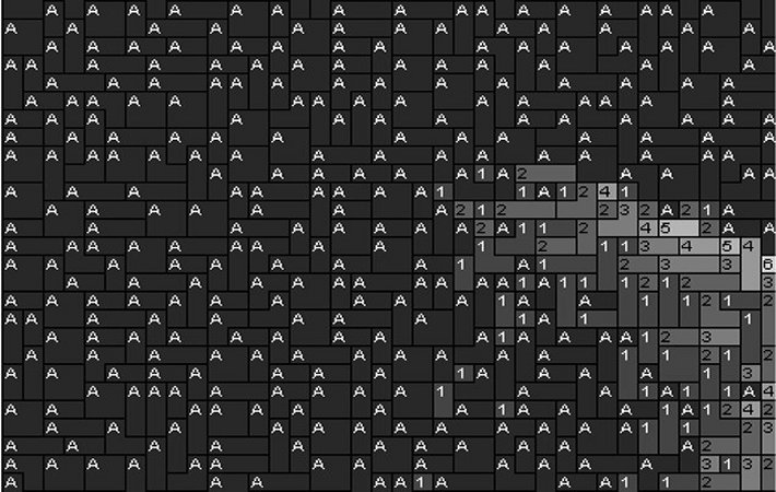 Cat2 80x60cm schwarz/weiß per eMail