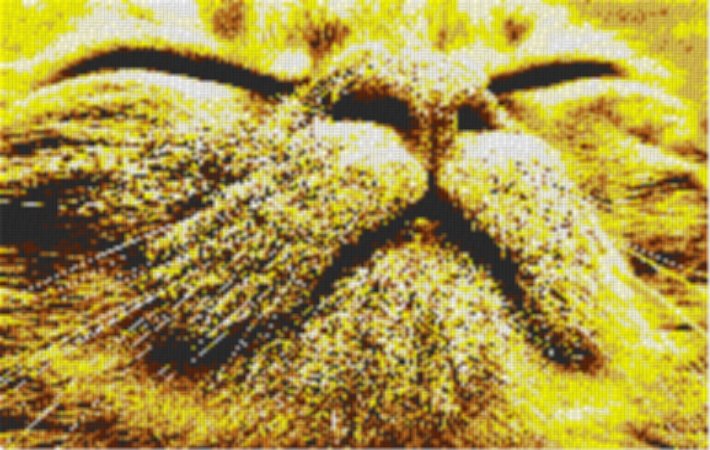 Cat3 80x60cm yellow Style per eMail