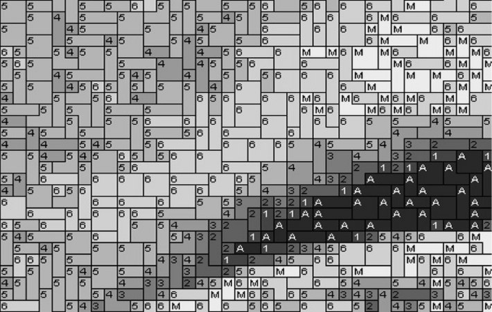 Cat3 80x60cm schwarz/weiß per eMail