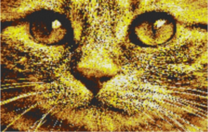 Cat4 80x60cm yellow Style als Entwurfdruck