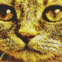 Cat4 80x60cm yellow Style als Volldruck