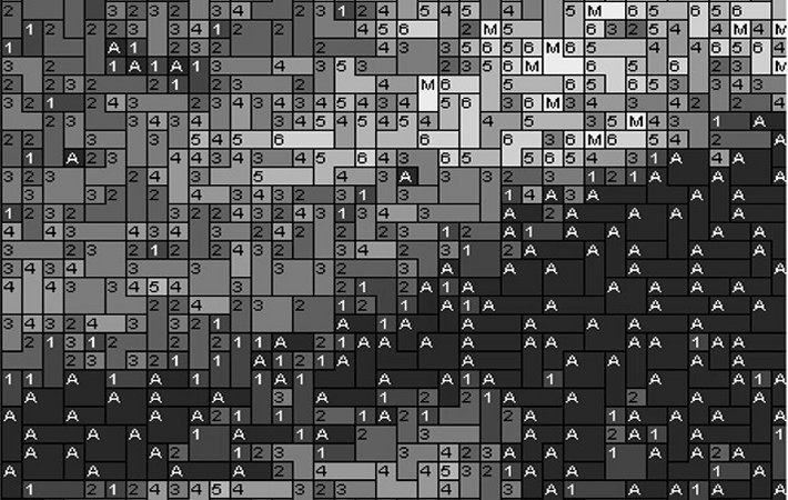 Cat4 80x60cm schwarz/weiß per eMail