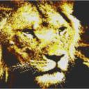 Lion 80x60cm yellow Style per eMail
