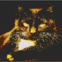 Cat5 80x60cm yellow Style als Entwurfdruck