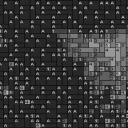 Cat5 80x60cm schwarz/weiß per eMail
