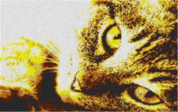 Cat6 80x60cm yellow Style per eMail