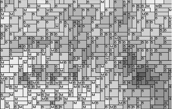Cat6 80x60cm schwarz/weiß per eMail