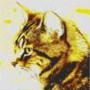 Cat7 80x80cm yellow Style als Entwurfdruck