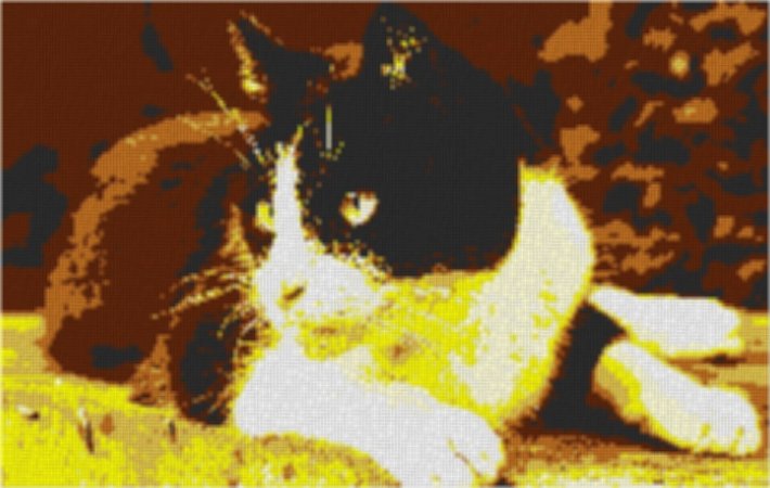 Cat8 100x60cm yellow Style per eMail