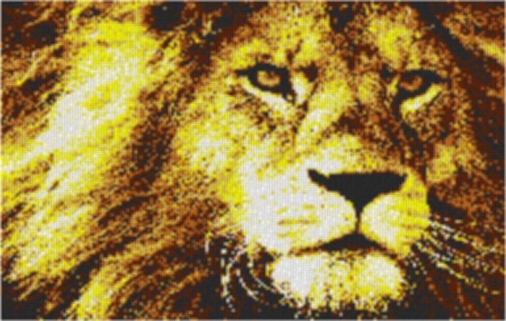 Lion1 80x60cm yellow Style als Entwurfdruck