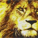 Lion1 80x60cm yellow Style als Entwurfdruck