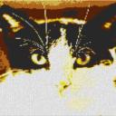 Cat 80x60cm yellow Style per eMail