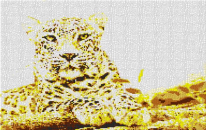 Leopard 80x60cm yellow Style als Entwurfdruck
