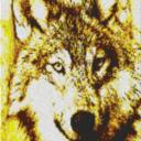 Wolf 60x80cm yellow Style als Entwurfdruck