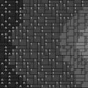 Schwarzkopf-Agaporniden 80x60cm schwarz/weiß per eMail