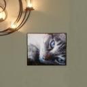Plättchen Pixel Cat2 29,4x24,5cm komplett Paket