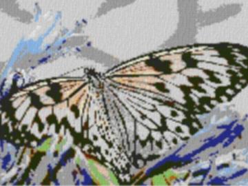 Butterfly2 80x60cm cartoon Style per eMail