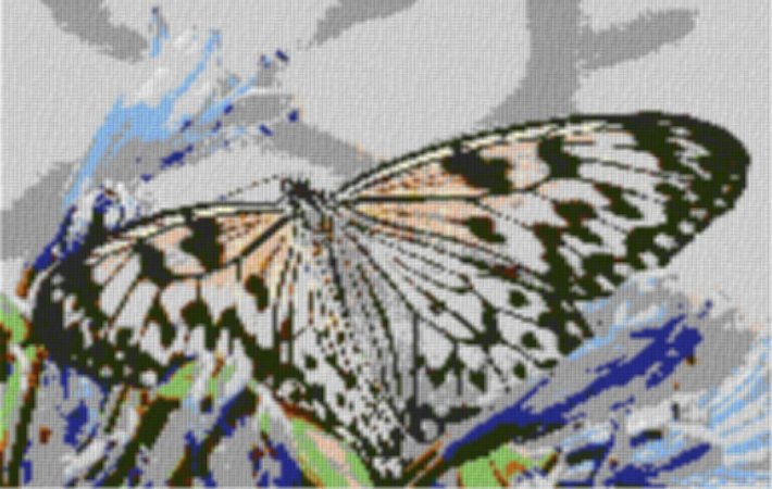 Butterfly2 80x60cm cartoon Style als Volldruck
