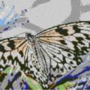 Butterfly2 80x60cm cartoon Style als Volldruck
