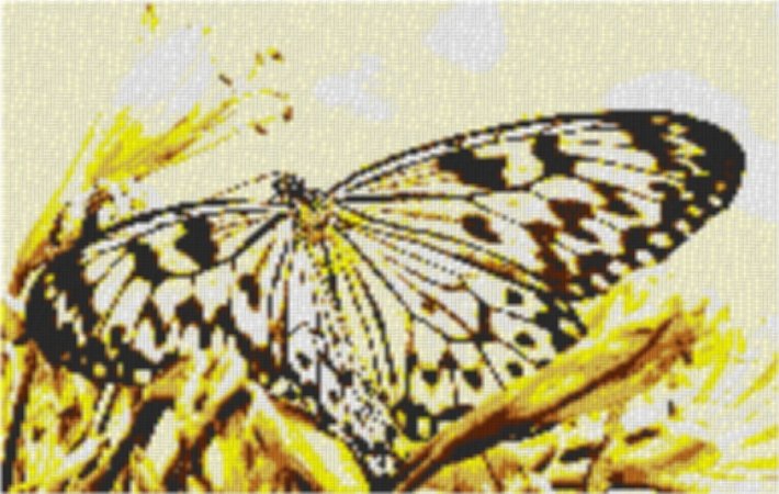 Butterfly2 80x60cm yellow Style per eMail