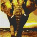 Elefant 60x80cm yellow Style als Volldruck