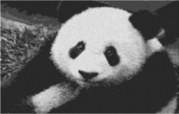 Panda 80x60cm schwarz/weiß als Entwurfdruck