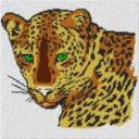 Leopard 60x60cm bunt als Entwurfdruck