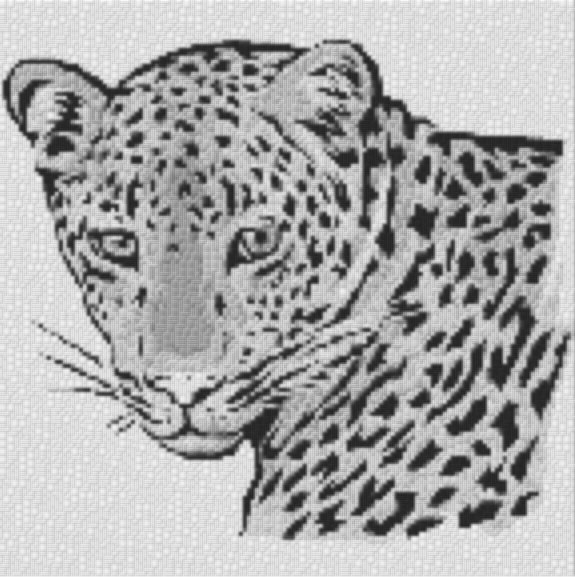 Leopard 60x60cm schwarz/weiß per eMail