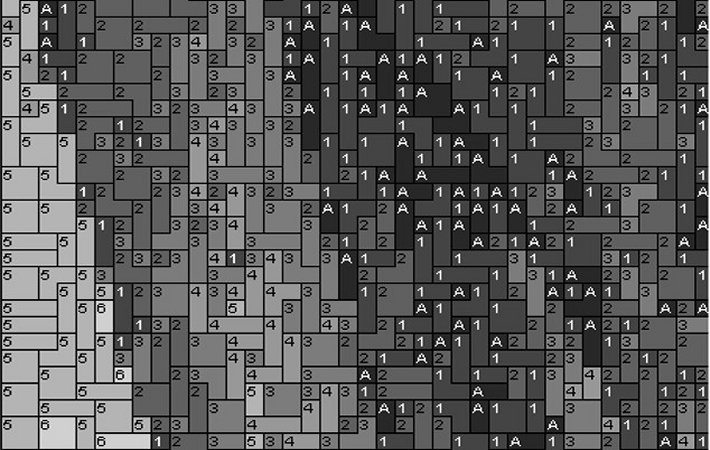 Savanne 80x60cm schwarz/weiß als Volldruck