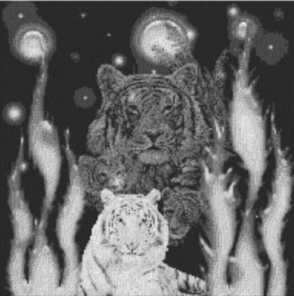 Weltall Tiger 80x80cm schwarz/weiß als Entwurfdruck